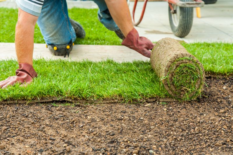 Dryscape Landscaping in Honolulu, HI