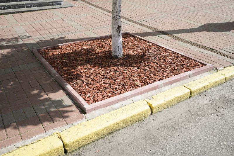 Tree Edging Installation in Citrus County, FL
